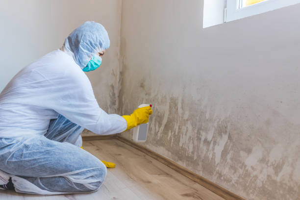 Crawl Space Mold Remediation treatment of floor joists in Fairfield
